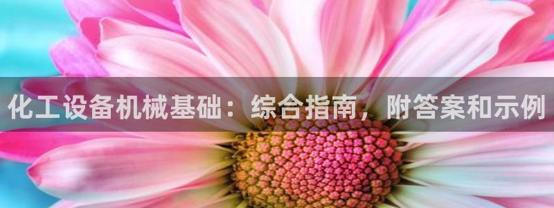新城平台登录入口官网网址查询