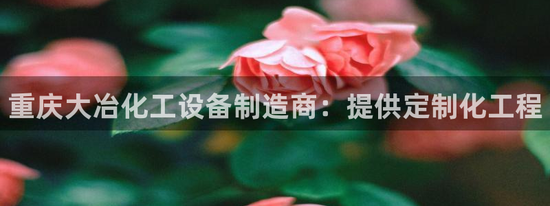 新城平台注册登录地址是什么