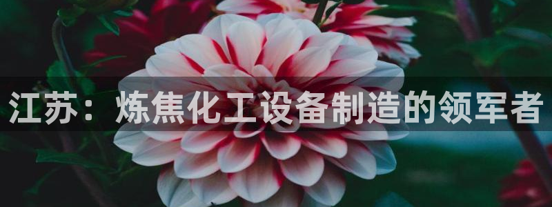 新城平台负责人