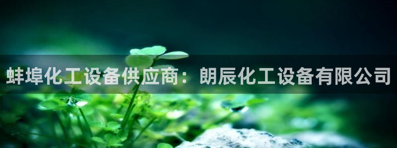 新城平台官网首页登录