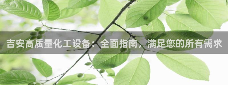 新城平台属于哪个系列：吉安高质量化工设备：全面指南