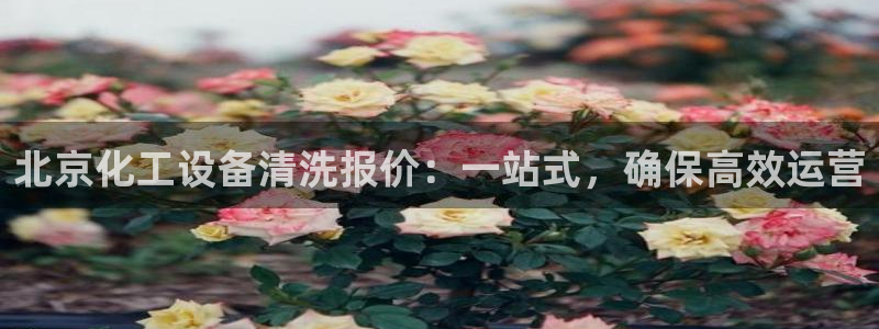 新城平台在线登陆