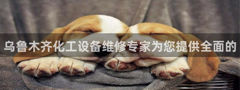 新城平台线路登录不上去怎么办呀
