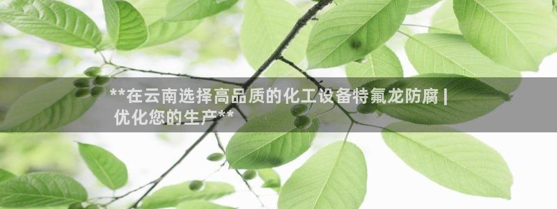 新城平台代理注册：**在云南选择高品质的化工设备特
