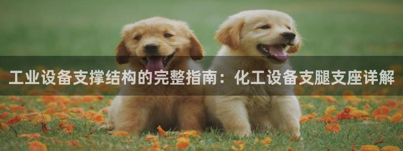 新城平台怎么样