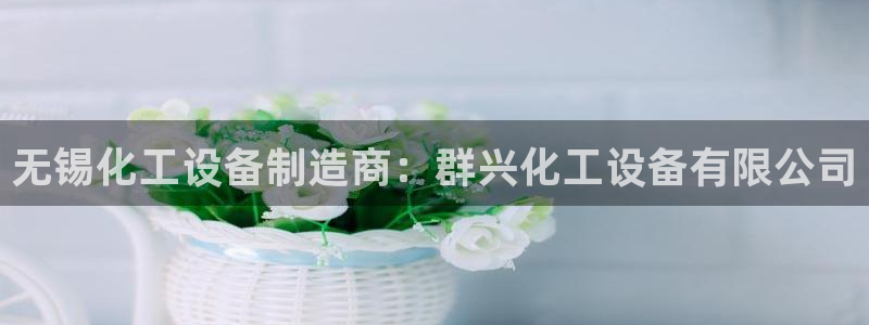 新城平台登录入口官网查询