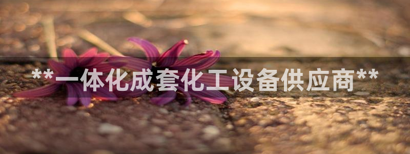 新城平台代理怎么样：**一体化成套化工设备供应商*