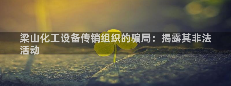 新城平台负责人名单：梁山化工设备传销组织的骗局：揭露其非法
