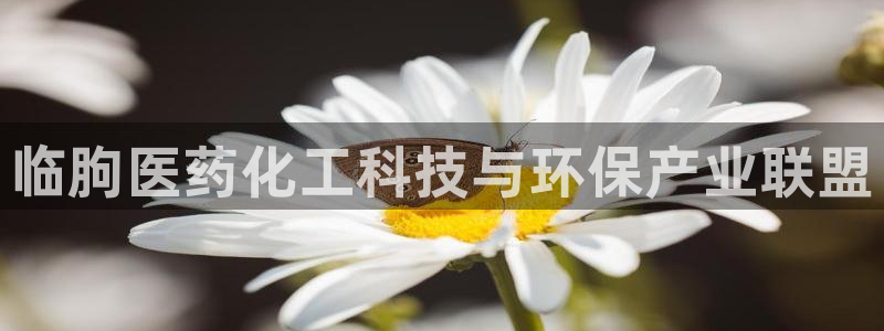 新城平台负责人名单