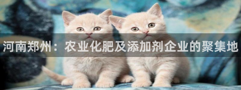 新城平台登录入口官网查询：河南郑州：农业化肥及添加