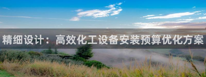 新城平台是正规平台吗：精细设计：高效化工设备安装预算优化方案