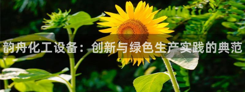 新城平台登录：韵舟化工设备：创新与绿色生产实践的典范