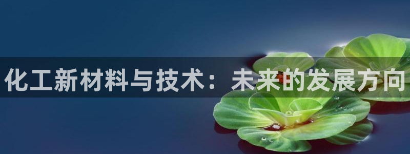 新城平台线路登录不上去怎么办呢：化工新材料与技术：