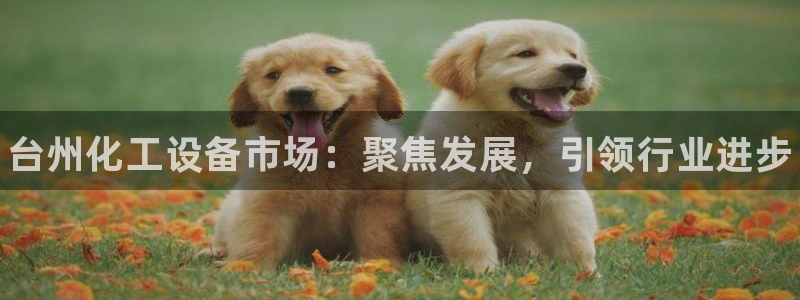 新城平台官网注册流程：台州化工设备市场：聚焦发展，