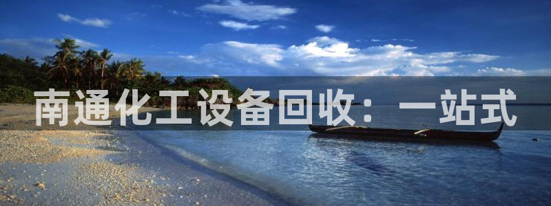 新城平台是干嘛的公司