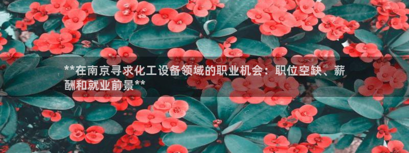 新城平台代理注册公司