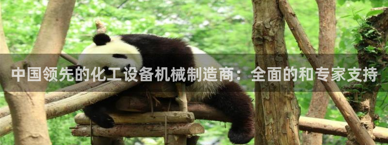 新城平台登录密码忘了怎么办