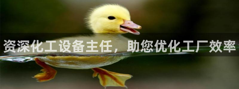 新城平台线路登录不上去怎么办呢