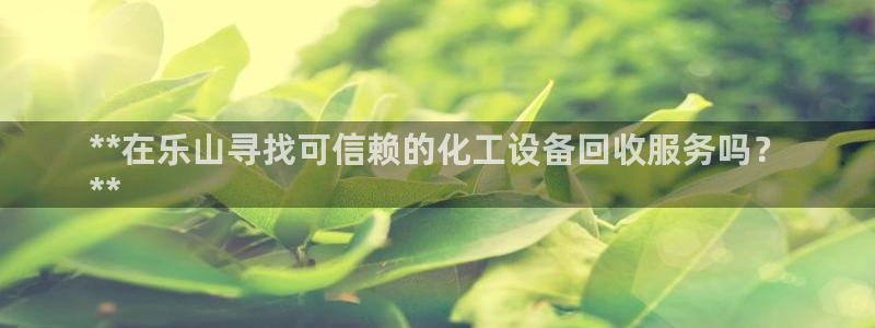 新城平台登录入口官网查询