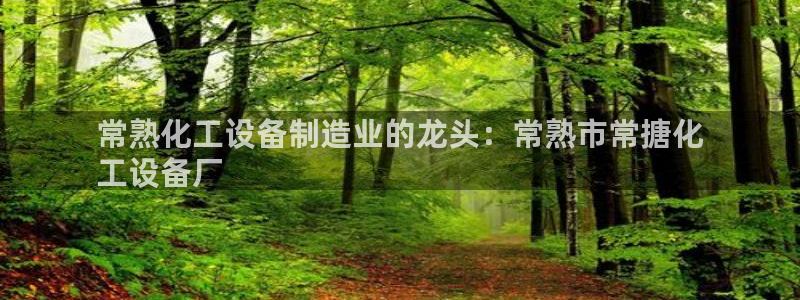 新城平台线路登录不上去怎么办