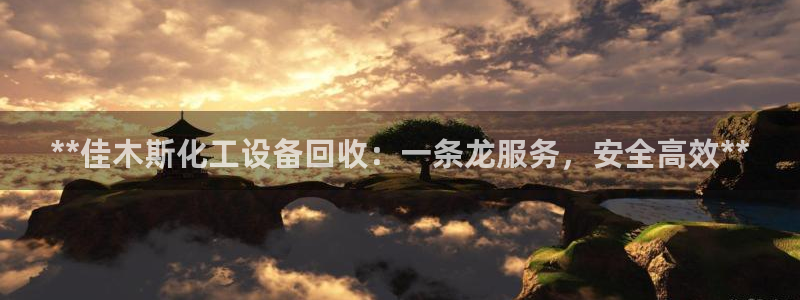 新城平台线路登录不上去怎么回事儿