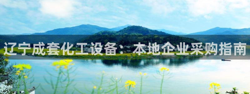 新城平台登录入口官网查询系统