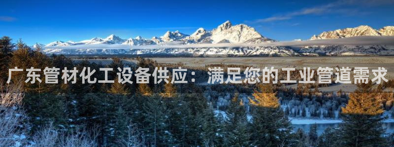 新城平台进·新城平台