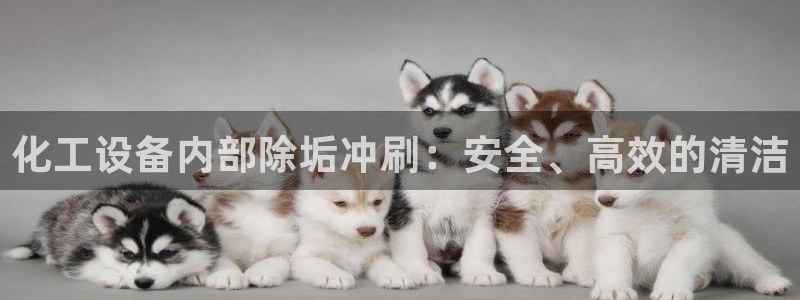 新城平台平台最新活动信息