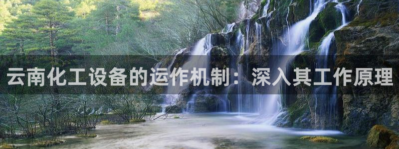 新城平台线路登录不上去怎么回事呀