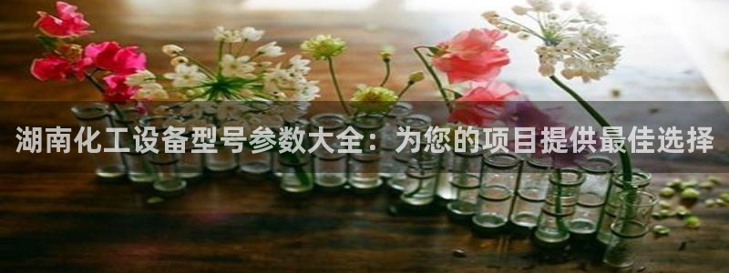 新城平台登录入口网站