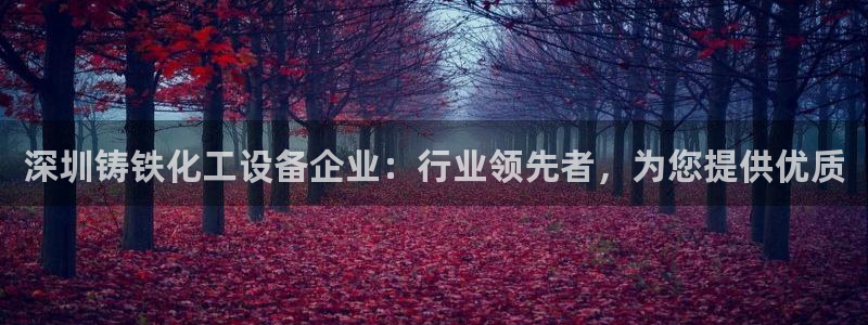 新城平台注册资金多少亿