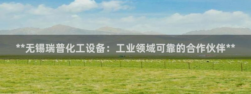 新城平台是干嘛的公司啊