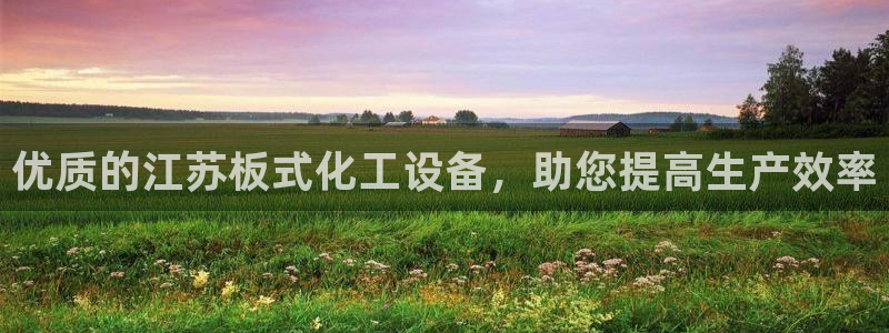 新城平台是干嘛的公司啊