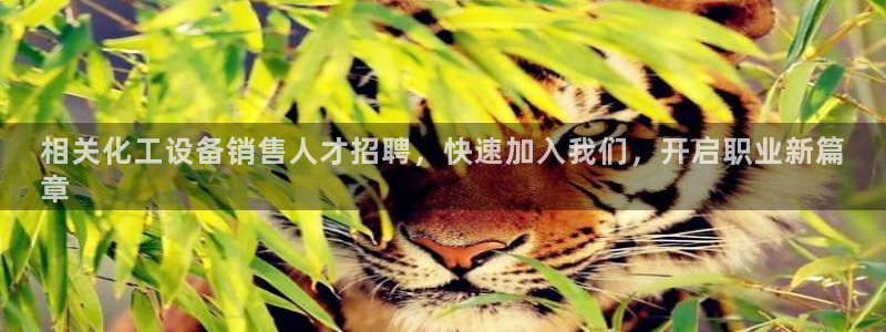 新城平台登录入口网址