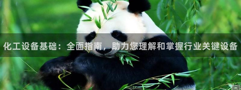 新城平台登录入口