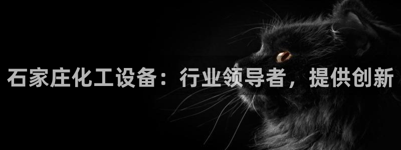 新城平台线路登录不上去怎么回事儿