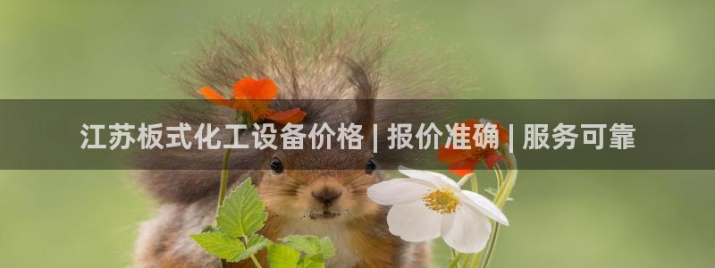 新城平台注册登录地址是什么