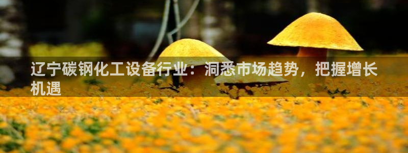 新城平台官网首页入口