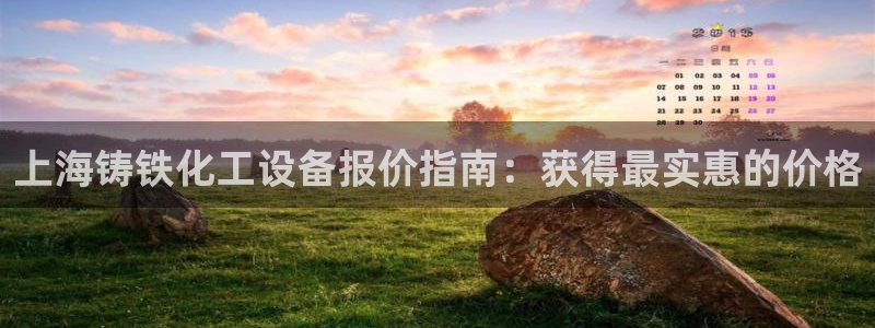 新城平台登录入口官网网址是多少