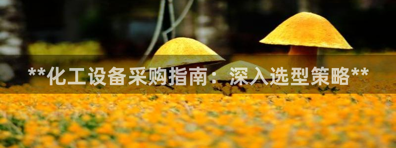 新城平台负责人名单