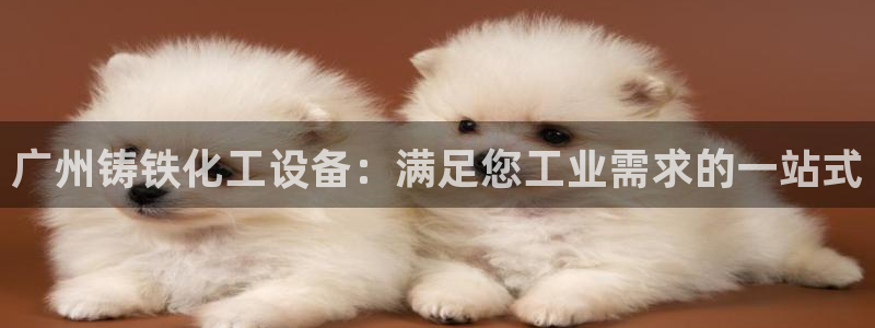 新城平台注册公司流程视频