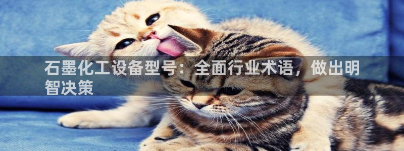 新城平台登录入口官网查询系统