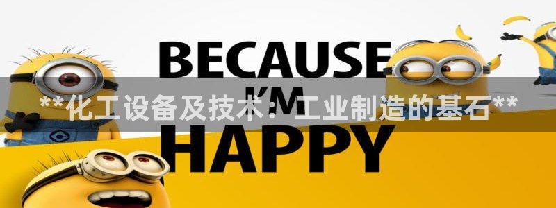 新城平台是干嘛的公司啊