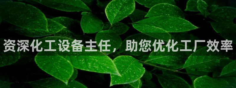 新城平台注册资金多少合适