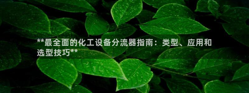 新城平台登录入口官网首页