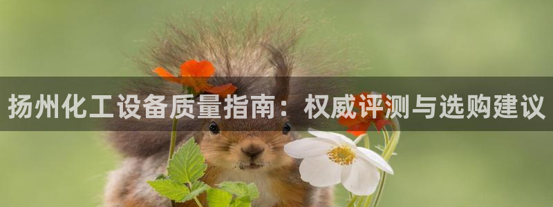 新城平台进.新城平台.稳定风险提示