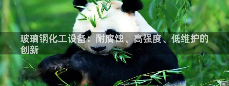 新城平台注册公司流程视频