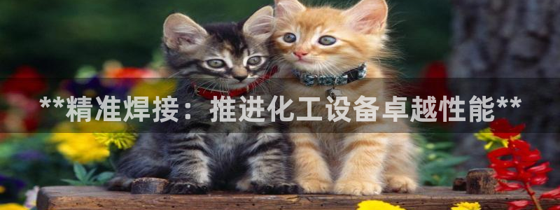 新城平台注册流程图