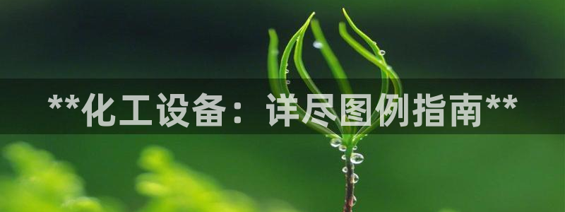 新城平台线路登录不上去怎么办