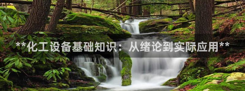 新城平台平台最新活动消息